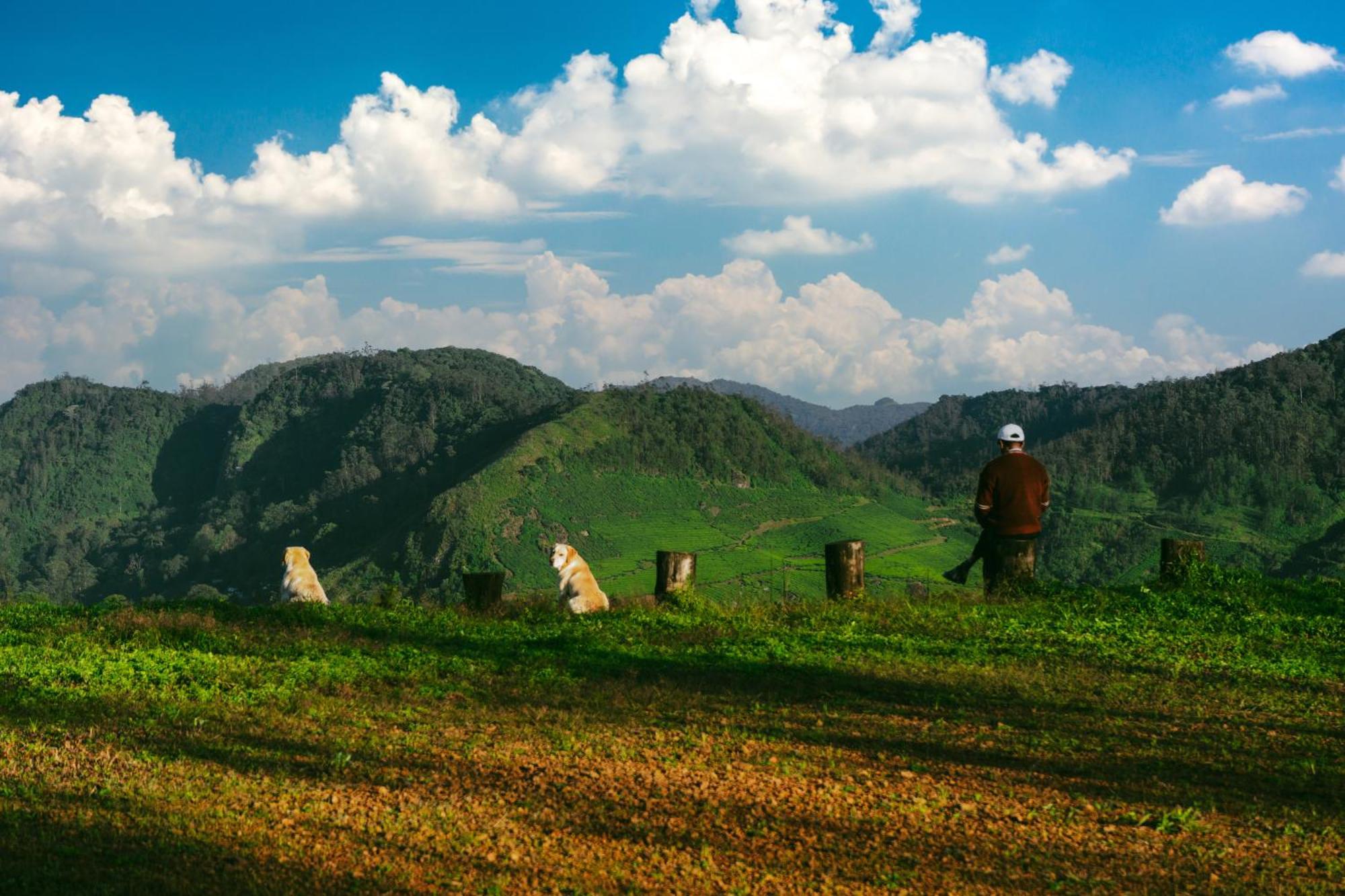 Camelot Resort Munnar Ngoại thất bức ảnh
