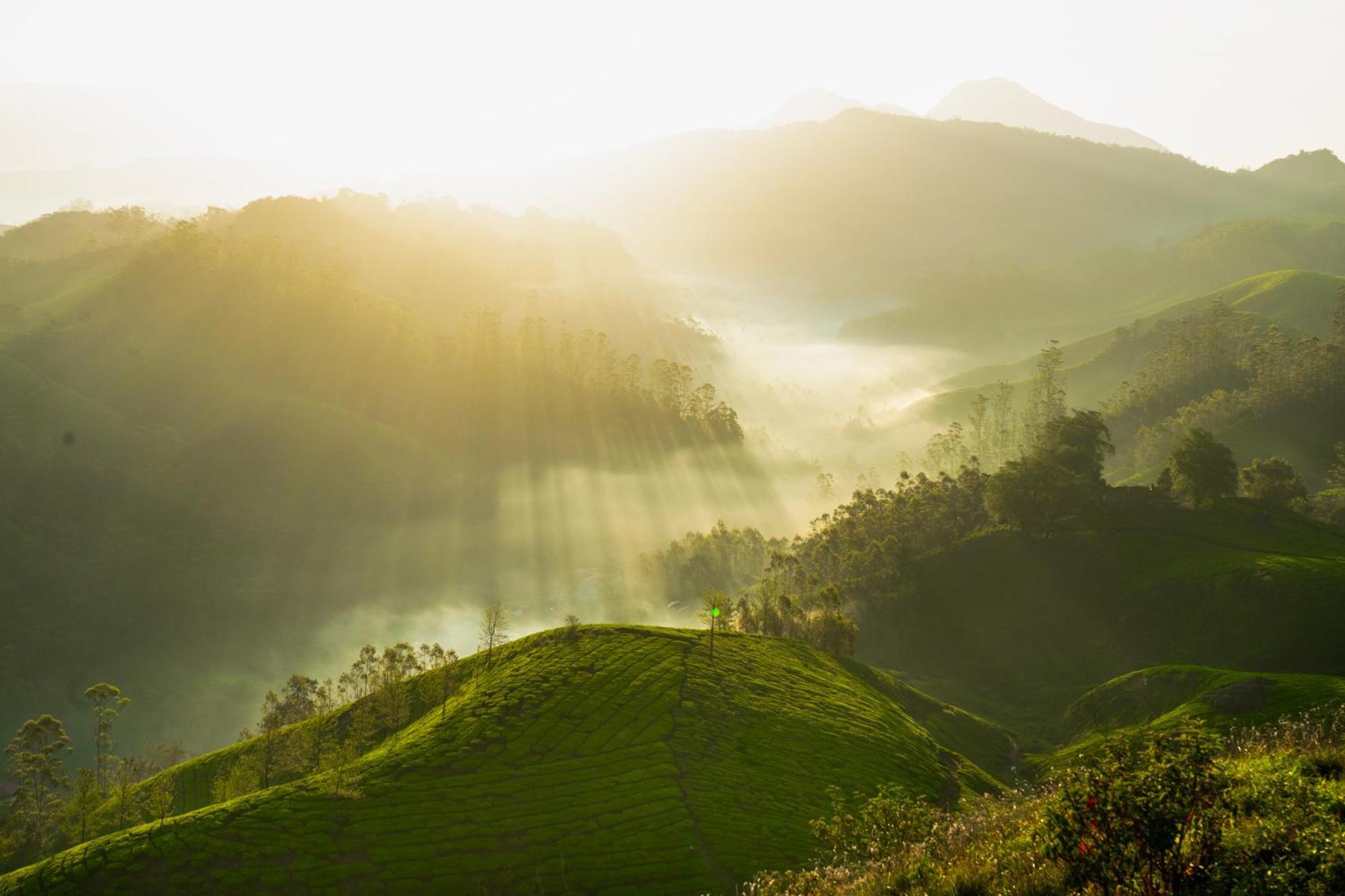 Camelot Resort Munnar Ngoại thất bức ảnh